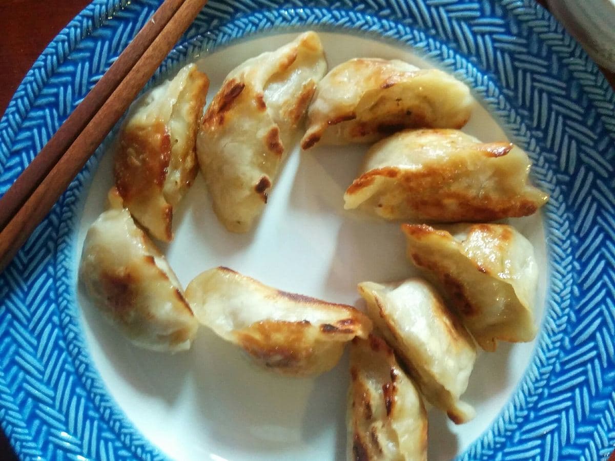 Tavuklu Gyoza
